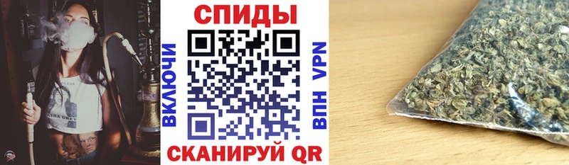 сколько стоит  Дигора  БУТИРАТ буратино 