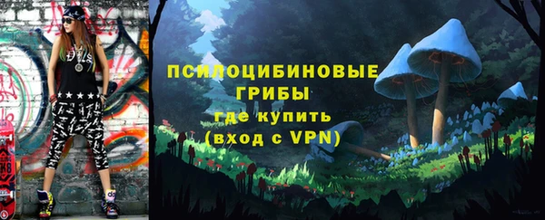 молекула духа Белоозёрский