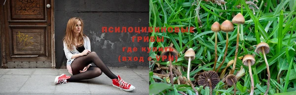 наркотики Белокуриха