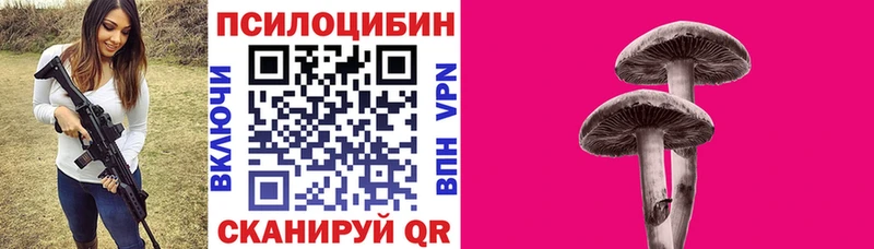Псилоцибиновые грибы Magic Shrooms  Дигора 