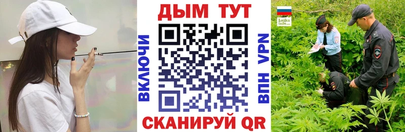 наркошоп  Дигора  Каннабис семена 